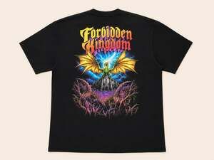 Insomniac Forbidden Kingdom Dragon Graphic Tee L Festival Rave USA